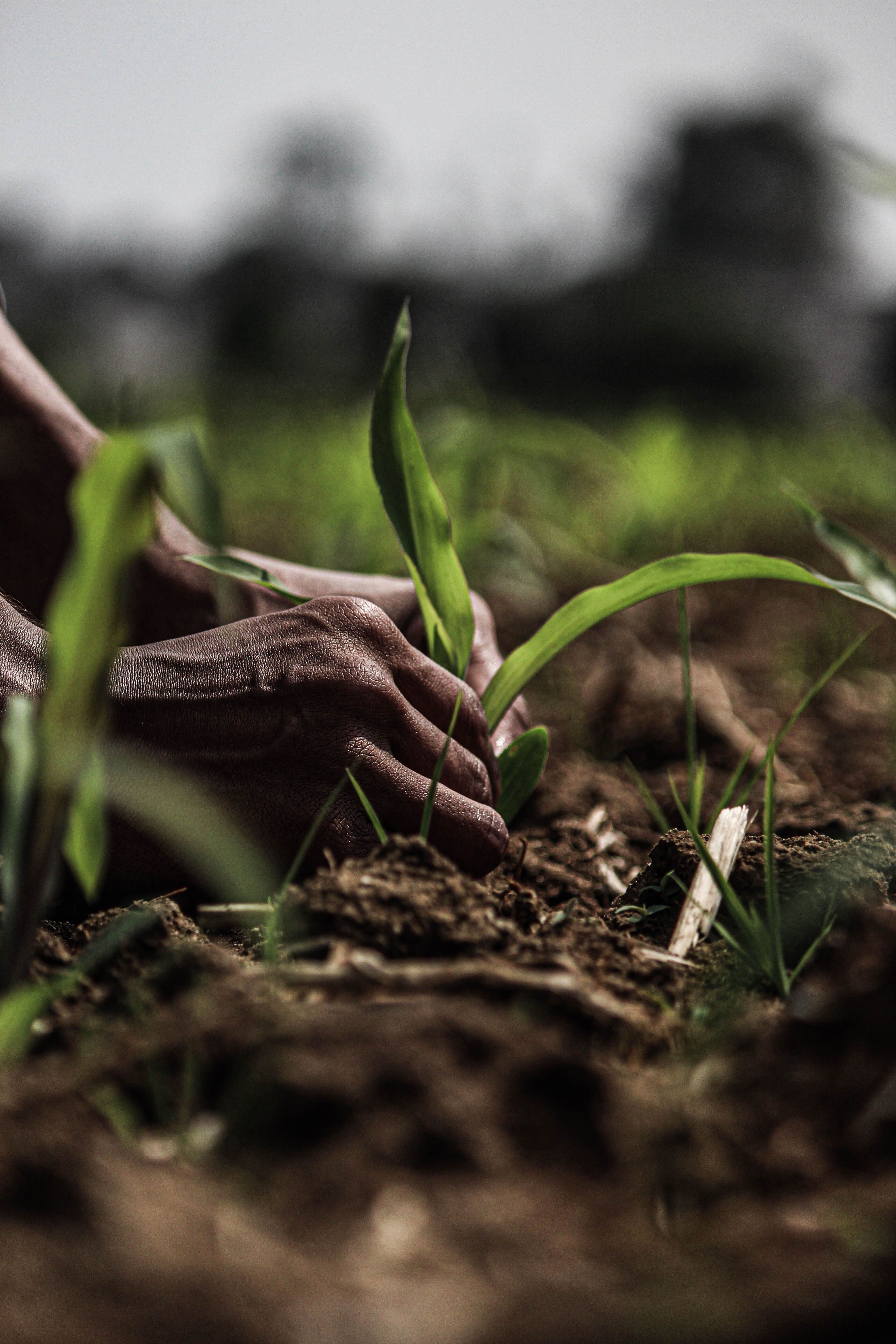 Climate Action
